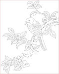 花鸟图 