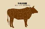 牛肉分割图