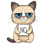 卡通猫