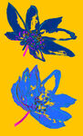 花卉