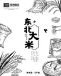 东北大米包装