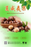 夏威夷果 