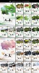 24节气展板