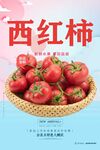 西红柿
