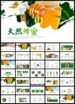 天然绿色蜂蜜蜂王浆蜜蜂养殖PP