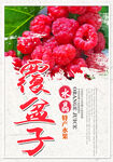 覆盆子
