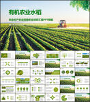 绿色有机水稻农业PPT