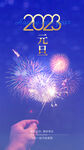 2023年兔年元旦海报
