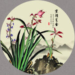 兰花