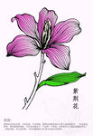 AI矢量花插画