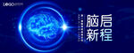 大脑 脑神经