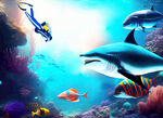水族馆