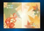 金闪枫叶子 封面