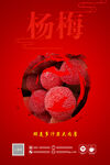杨梅