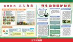 林业展板