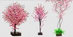桃树免扣