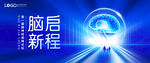 KV 大脑 神经