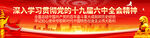 十九届六中全会精神