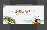 安吉白茶
