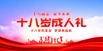 十八岁成人礼宣传展板
