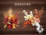 永生花干花地排花