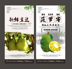 菠萝蜜