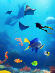 海洋水族馆