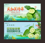 贝加莫特果