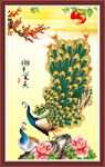 孔雀牡丹图