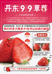 草莓宣传DM海报