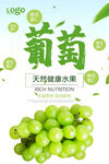 葡萄