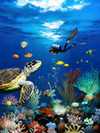 海洋生物