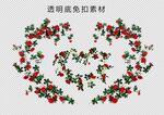 玫瑰花藤