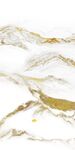 金色 最新热门玄关 TiF分层