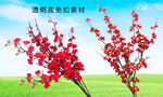 梅花