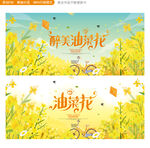 油菜花