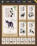 驴