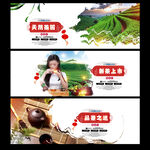 茶