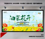 油菜花节