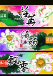 荷花广告