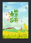 油菜花