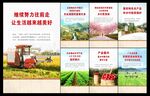 农业强国标语宣传