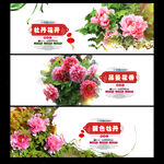 牡丹花节