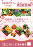 生鲜果蔬店促销优惠宣传海报