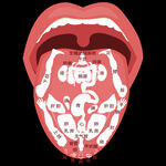 全息舌诊之人体器官分布区位图