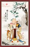 南极仙翁