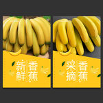 香蕉