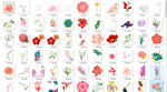 花