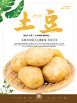 土豆