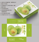 李子包装 水果盒子